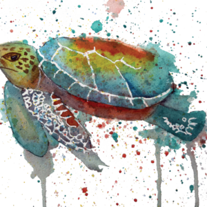 Toby the Turtle Watercolor Painting of a sea turtle