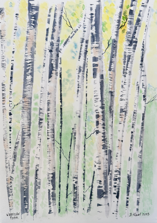 Watercolor painting of Birch Trees