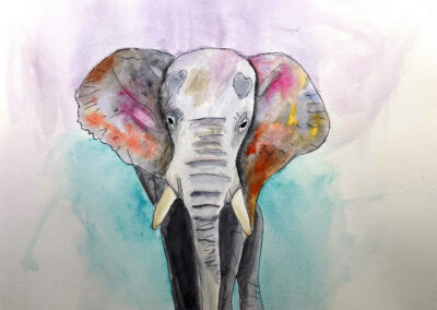 Ellie the Elephant