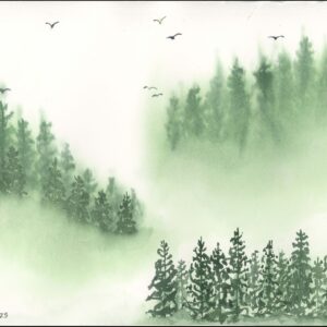 Moody Misty Forest Landscape