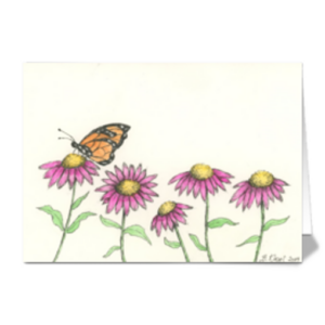 Cone Flowers (Echinacea) with Butterfly Card